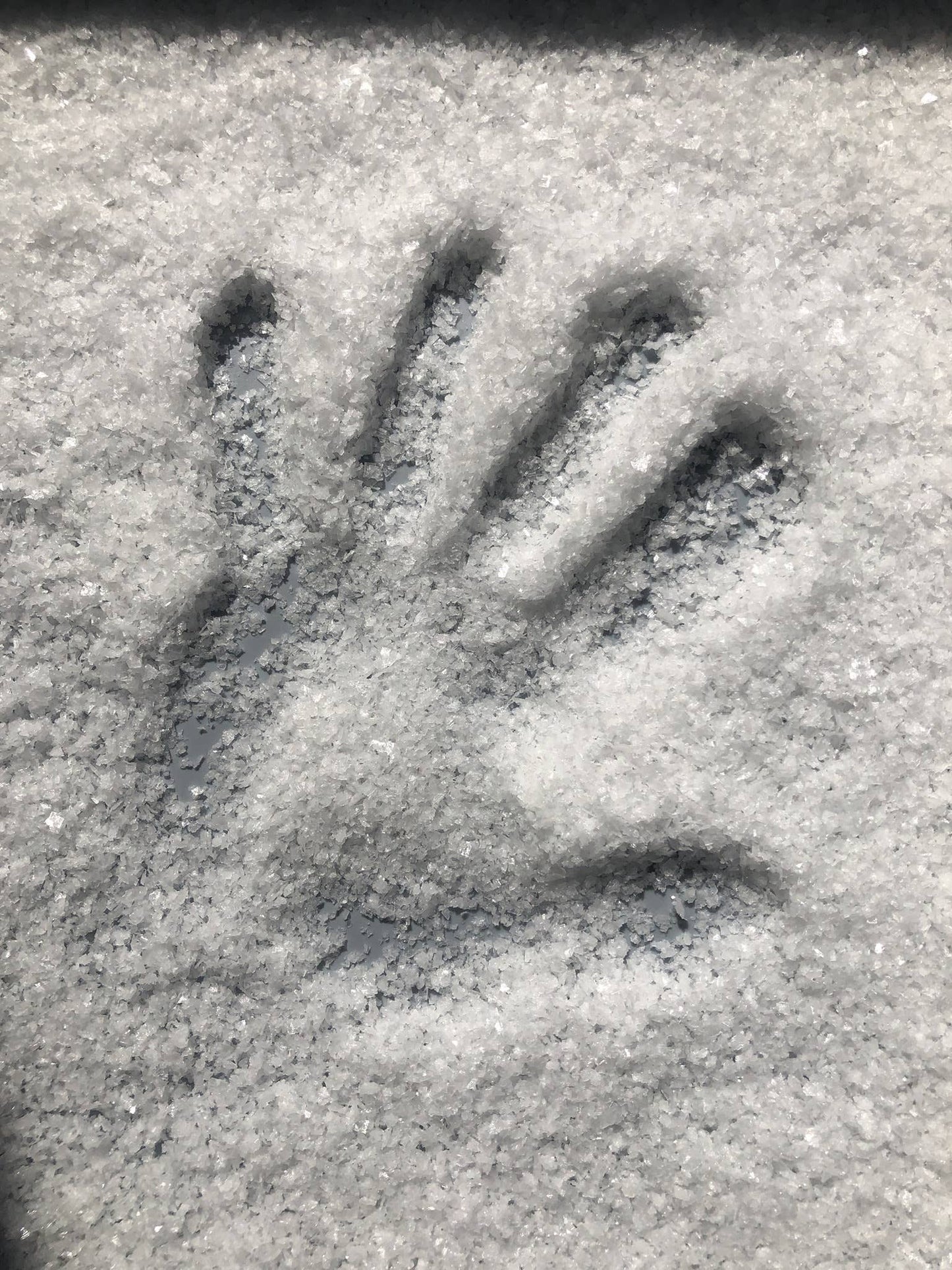 Havsnø Fine Kosher Norwegian Sea Salt 24 oz.