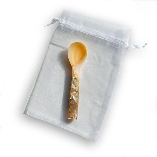 Mother of Pearl Spoon with Mosaic Handle