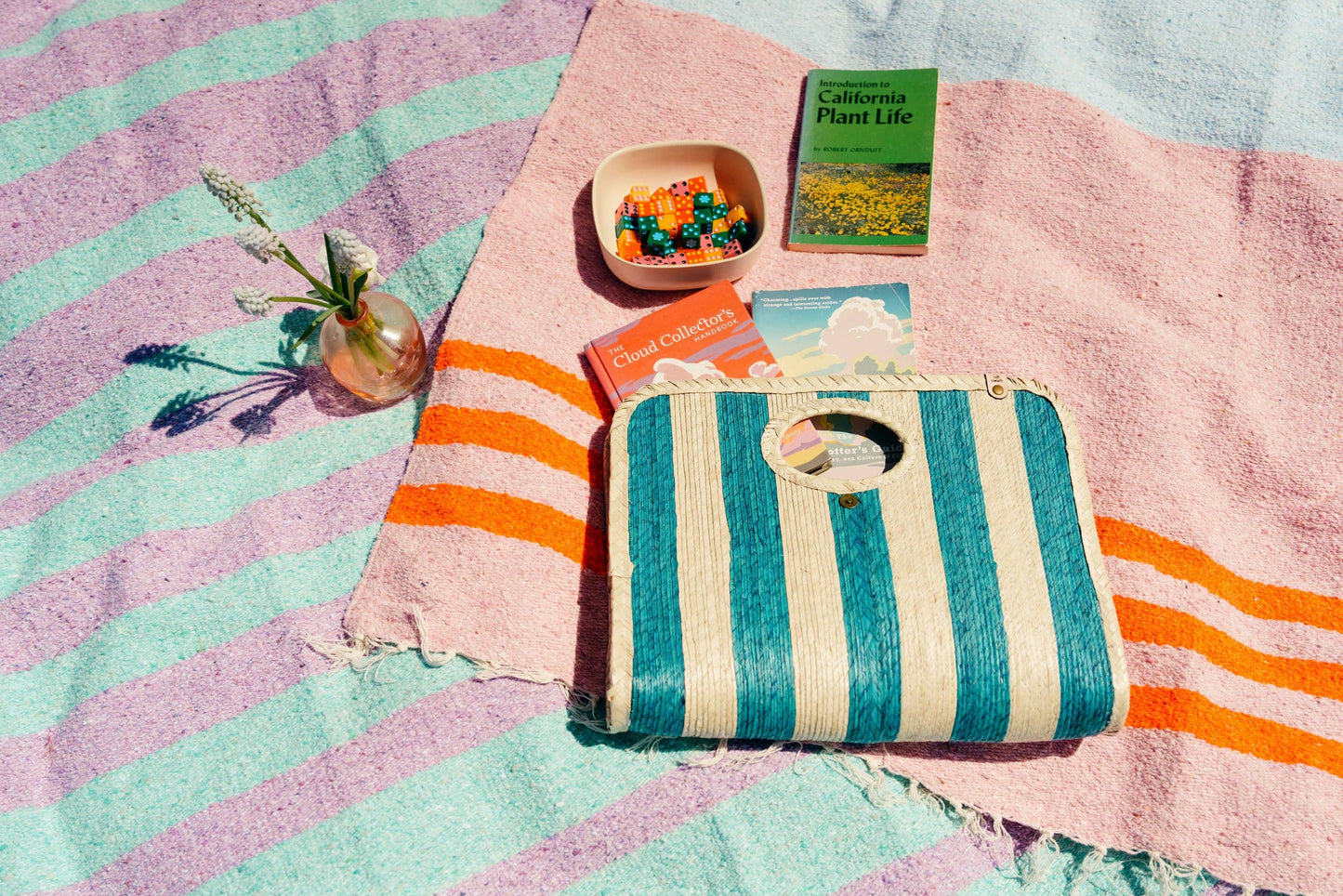 Mercado Collection - Portafolio Clutch - Cielo